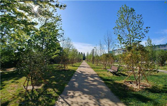 부산광역시 남구 평화공원 내 세계 평화의 숲 전경. <HUG 제공>